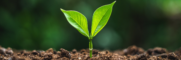 Raiffeisen ESG International Equity Fund of Funds Raiffeisen ESG International Equity Fund of Funds